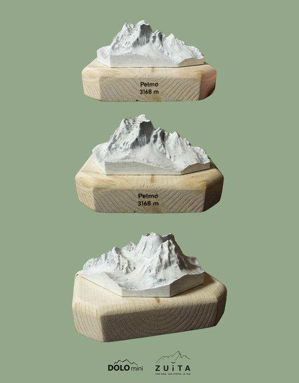 Passione PELMO - maglietta + modellino